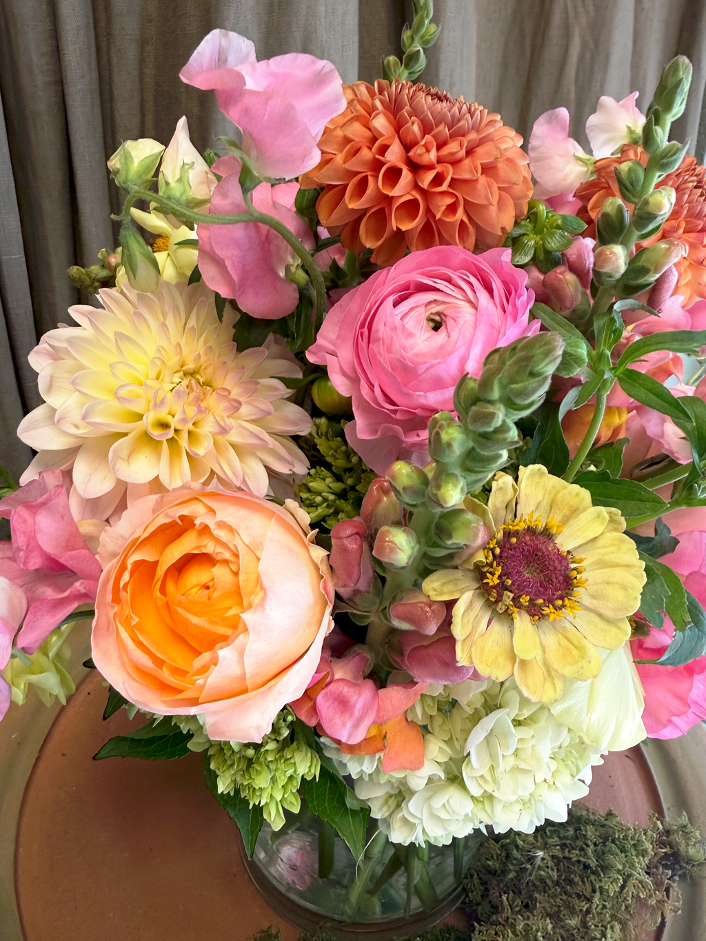 Cheer Me Up – Begonia