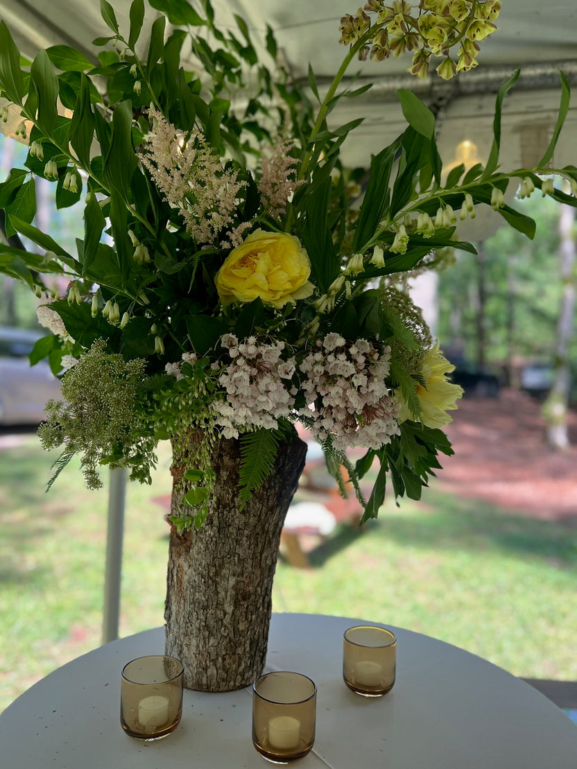 Gallery – Begonia