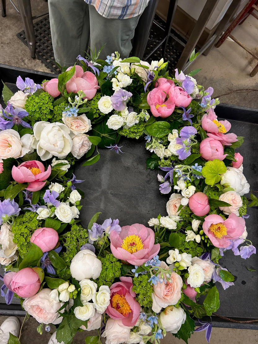 Gallery – Begonia