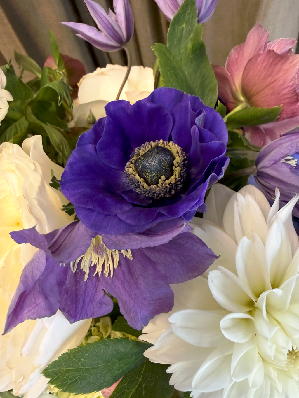 Lavender and Blue Dreams