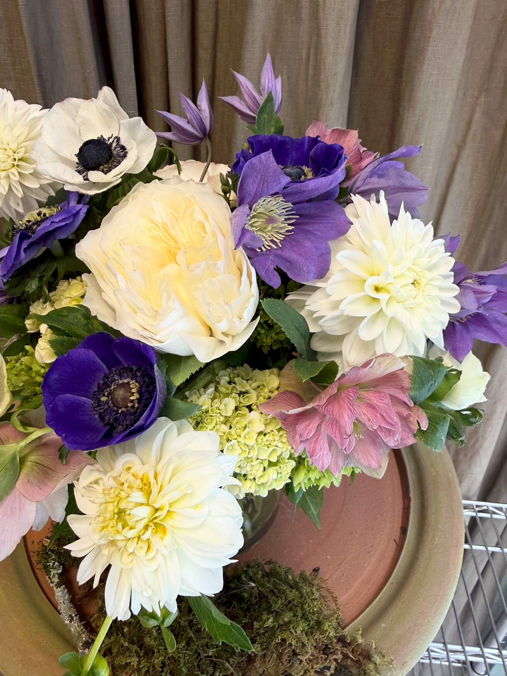 Lavender and Blue Dreams
