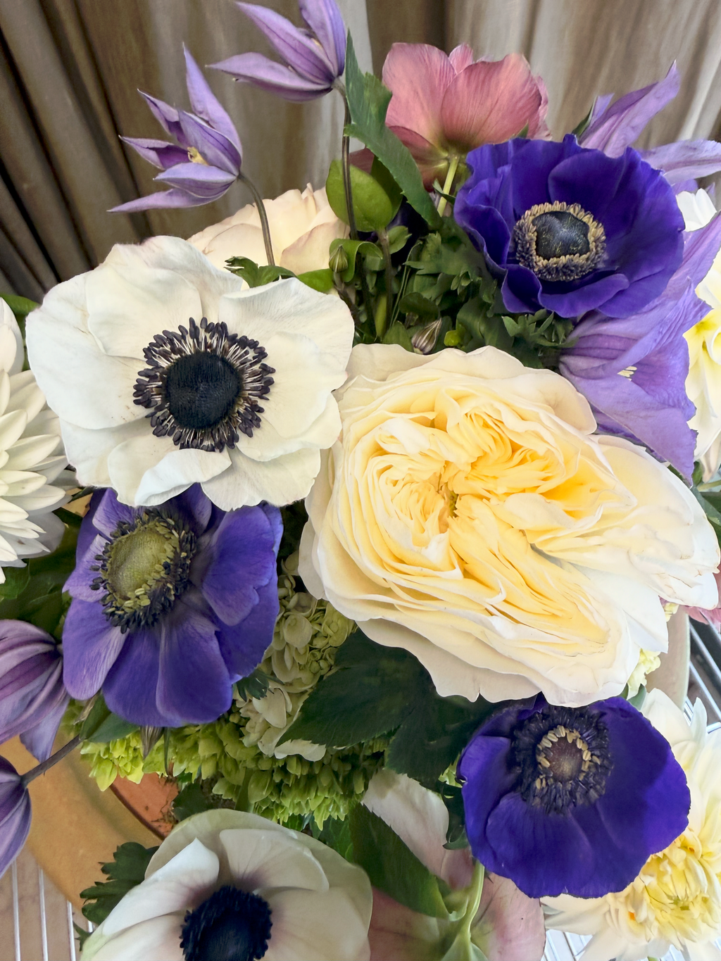 Lavender and Blue Dreams